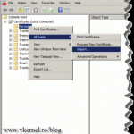 Publish VMware vShpere 5 Web Client Server with TMG 2010