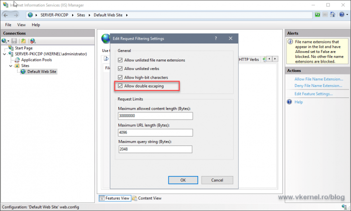 Enabling the Double Escaping option in IIS