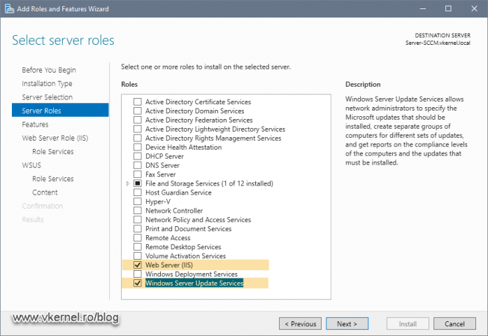 Selecting IIS and WSUS roles for installation